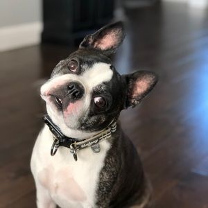 Meet your Posher, Tracy